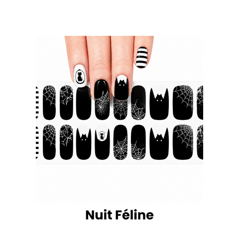 Nuit Féline